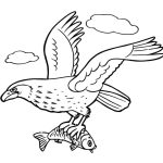 Hawk fishing coloring pages